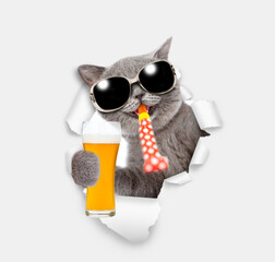 Happy cat wearing sunglasses  blows in party horn and looks through a hole in white paper and holds mug of beer