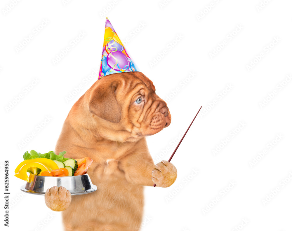 Poster hungry puppy wearing party cap holds bowl of vegetables and looks away on empty space. isolated on w