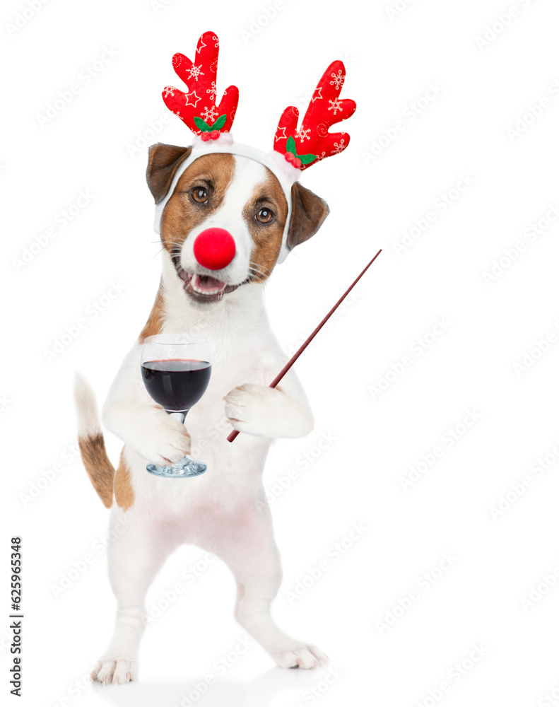 Poster jack russell terrier puppy dressed like santa claus reindeer rudolf holds glass of red wine and poin