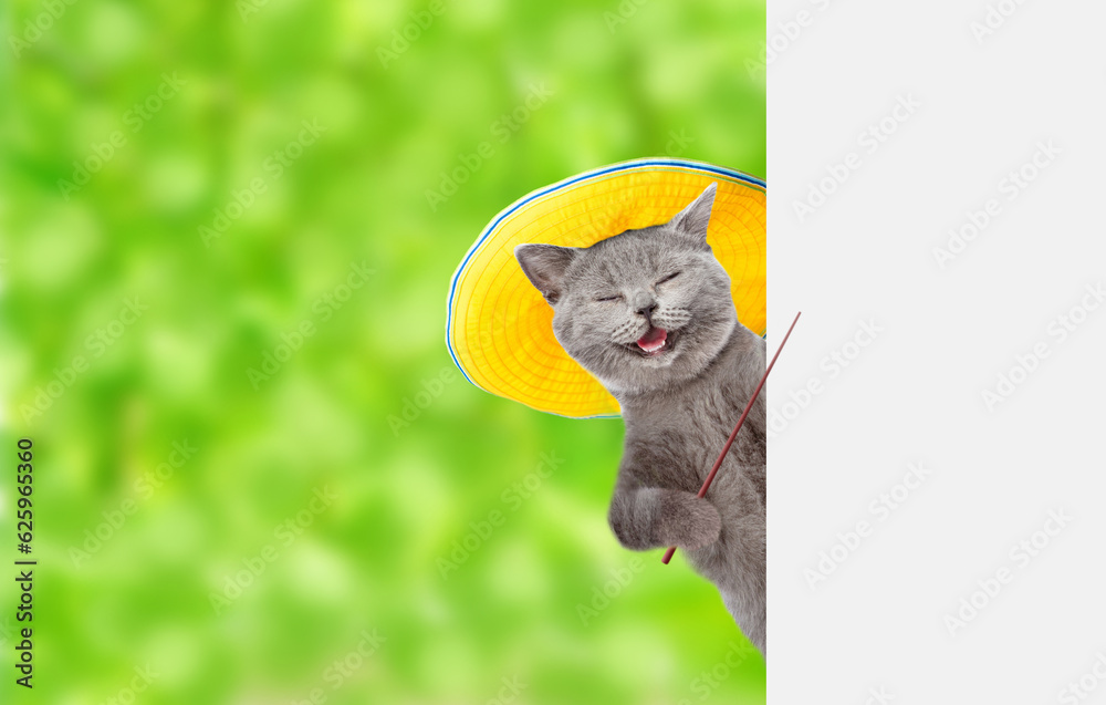 Poster funny cat wearing summer hat looks from behind empty white banner and points away on empty space
