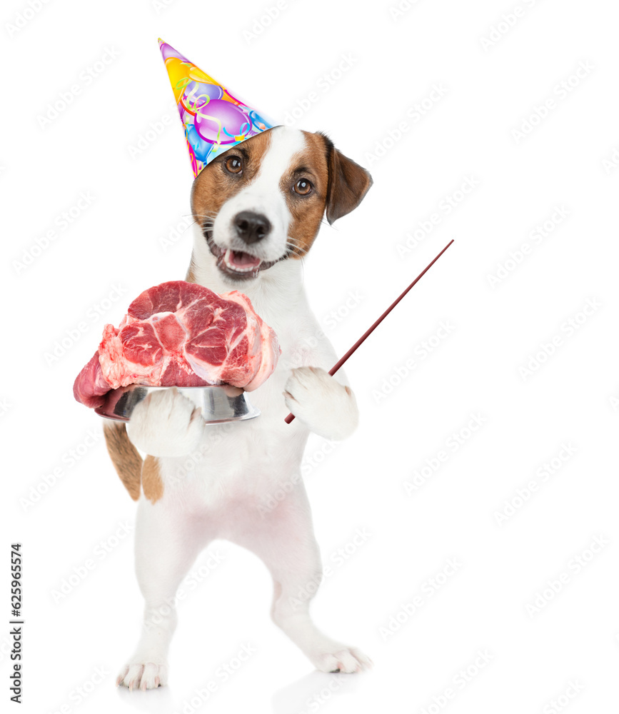 Poster jack russell terrier holds bowl of raw meat and points away on empty space. isolated on white backgr