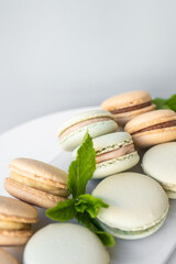 Macaroons of different colors with sprigs of mint on a white background.
