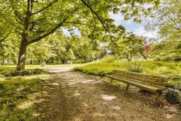 a bench in the middle of a park with trees and green grass on either side of the path that leads up to it - Powered by Adobe