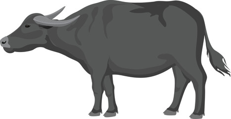Asia buffalo  illustration