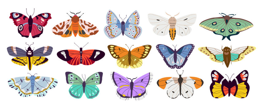 Colorful hand-drawn butterflies and moths set. Summer decorative flying insects with colorful wings. Vector illustration.