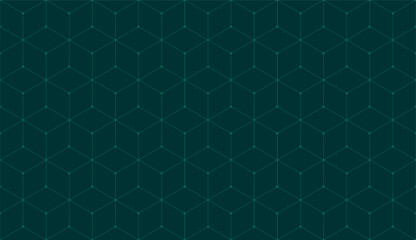 Fototapeta na wymiar Vector seamless cubic hexagon pattern. Abstract geometric low poly background. Stylish grid texture connect the dots.