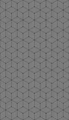 Vector seamless cubic hexagon pattern. Abstract geometric low poly background. Stylish grid texture connect the dots.