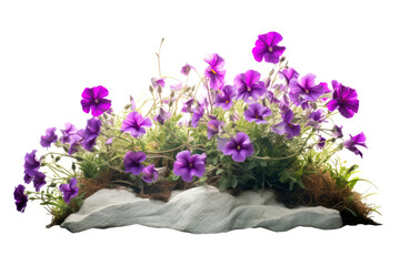 Flowerbed With Purple Flowers On White Background. Generative AI