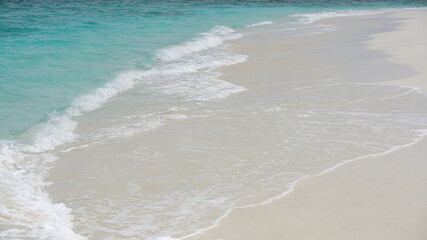 Summer Beach: White Sandy Shore and Foamy Waves