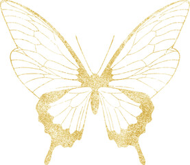 Gold Shining Paint Stain Hand Drawn Illustration brush stroke paint
 ornament decorate.gold insect. Gold fly.Wedding invitation border