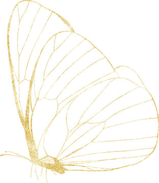 Gold Shining Paint Stain Hand Drawn Illustration brush stroke paint
 ornament decorate.gold insect. Gold fly.Wedding invitation border