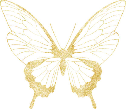 Gold Shining Paint Stain Hand Drawn Illustration brush stroke paint
 ornament decorate.gold insect. Gold fly.Wedding invitation border