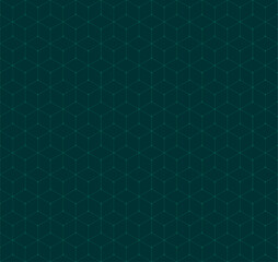 Vector seamless cubic hexagon pattern. Abstract geometric low poly background. Stylish grid texture connect the dots.
