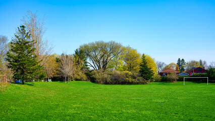 Fototapeta na wymiar Spring season in a public park