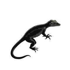 Fototapeta premium gecko looking isolated on white