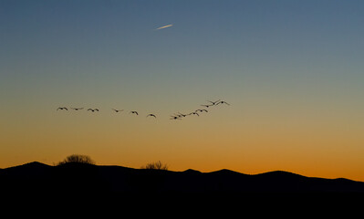 AMANECE EN GALLOCANTA