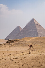 Dos Pirámides en Necrópolis de Guiza, Egipto
