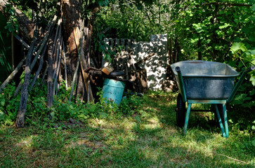 Firewood lying in the garden under a tree