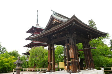 Obraz premium Path to Saisyoin Temple in Hirosaki, Aomori, Japan - 日本 青森 弘前 金剛山 最勝院 参道