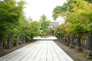 Fototapeta na wymiar Path to Saisyoin Temple in Hirosaki, Aomori, Japan - 日本 青森 弘前 金剛山 最勝院 参道