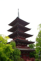 Fototapeta premium Five Story Pagoda Saisyoin Temple in Hirosaki, Aomori, Japan - 日本 青森 弘前 金剛山 最勝院 五重塔