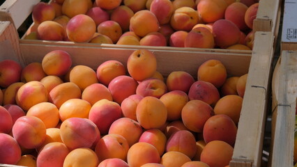 Fresh apricots at an outdoor farmers market in two wooden crates. Concept organic healthy food. Focus on foreground.