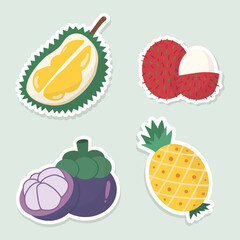 Tropical fruit vector icons set. Set of 4 fruit (durian, rambutan, mangosteen and pineapple) stickers. Hand drawn vector illustration.