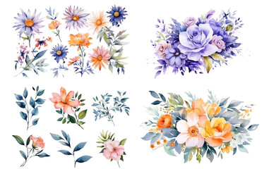 Fototapeta na wymiar Watercolor flowers on a white background without shadows for illustration.