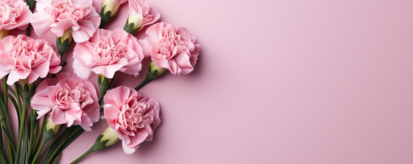 Fototapeta na wymiar Carnation bouquet on pastel pink background with copy space 