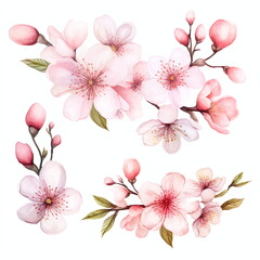 Flowers to decorate a wedding card, sakura and peach, light pink watercolor style, individual arrangements, AI generated