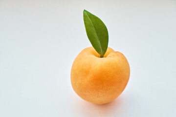 One apricot with a leaf on a white background. Close-up