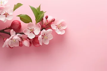 Poster cherry blossoms pink background © Bojel2