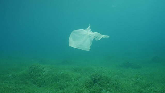 Plastic bag floating underwater on blue depth, environmental pollution. Old plastic bag drifting in water column over seagrass meadow, slow motion. Plastic pollution of Ocean