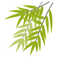 bamboo and leaves