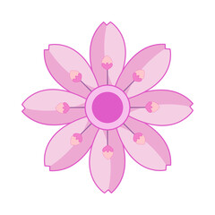 sakura flower vector