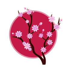 sakura flower vector