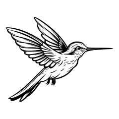 Hummingbird’s silhouette, Hummingbirds mascot logo, Hummingbirds Black and White Animal Symbol Design, Bird icon.