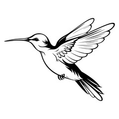 Hummingbird’s silhouette, Hummingbirds mascot logo, Hummingbirds Black and White Animal Symbol Design, Bird icon.