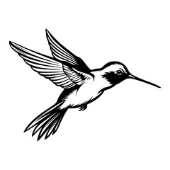 Obraz premium Hummingbird’s silhouette, Hummingbirds mascot logo, Hummingbirds Black and White Animal Symbol Design, Bird icon.