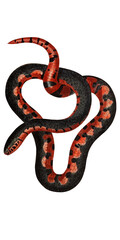 Retro Powerful Snake Scientific Illustration Black And Red Exotic Serpent Botanical Reptile Tropical Fauna And Flora