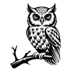 Owl silhouette, Owl mascot logo, Owl Black and White Animal Symbol Design, Bird icon.