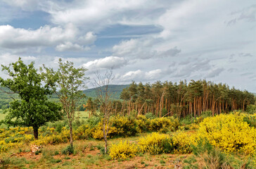 Fototapety na wymiar - Fototapeta24.pl