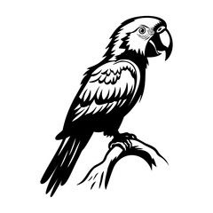 Parrots silhouette, Parrots mascot logo, Parrots Black and White Animal Symbol Design, Bird icon.