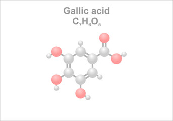 Simplified scheme of the gallic acid molecule. Important component of iron gall ink. 