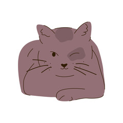 Obraz premium Vector illustration of cat, kittens.Cute simple design in cartoon style. Of illustrations with cats in different poses