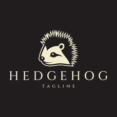 Hedgehog logo design vector illustration