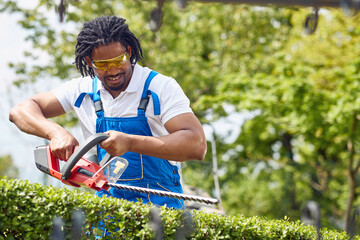 Young african american man in working suit using electric trimmer to cut hedge outdoor, gardening.