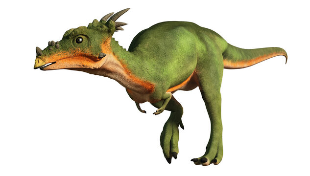 Dracorex is a genus of pachycephalosaurid dinosaur that lived in North America during the Late Cretaceous period, isolated on a white background , 3D Rendering

