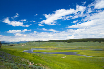 Scenic view with river flowing in Hayden Valley,Yellowstone National Park