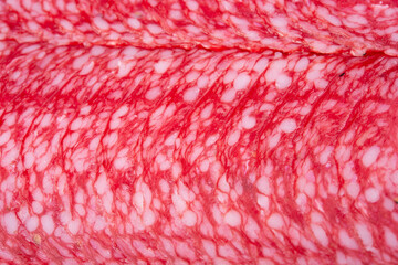 Sliced salami detail texture background